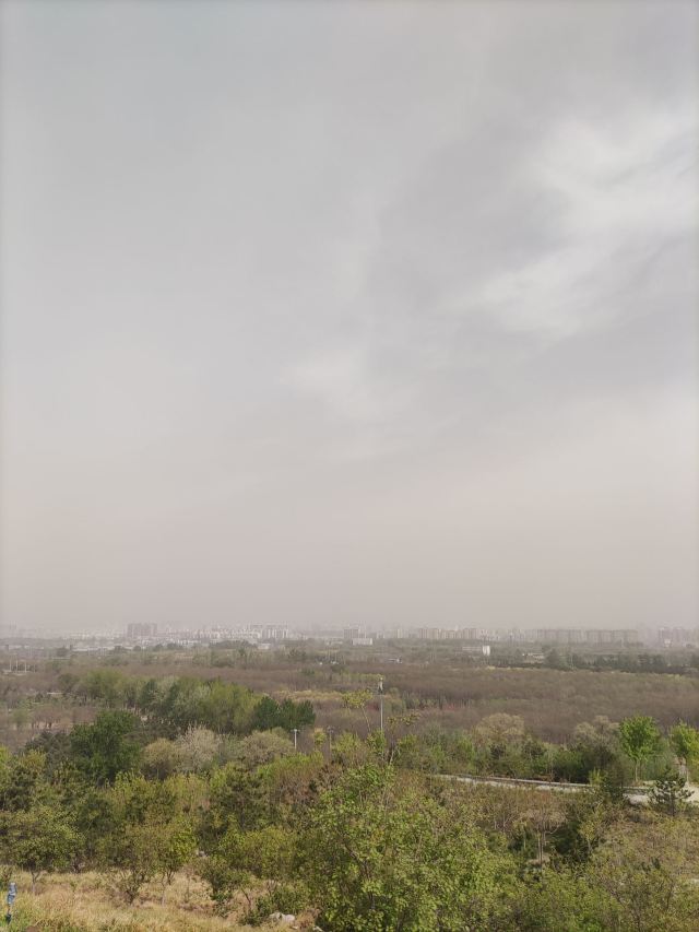 南苑森林湿地公园旅行图片 10