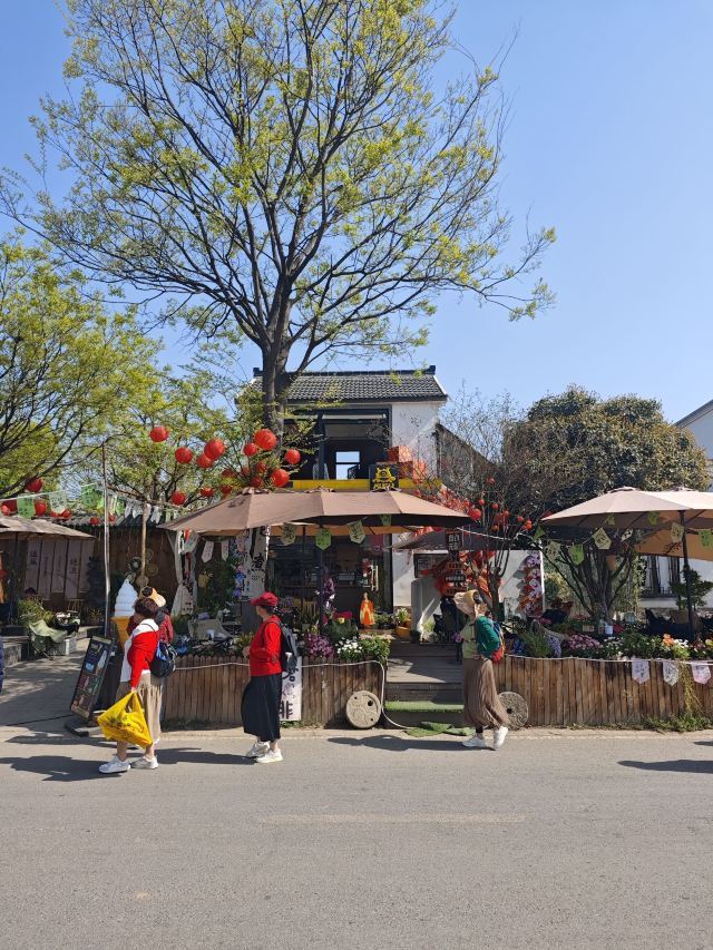 佘村明清代建筑群旅行图片 9