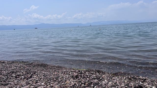 广龙抚海湾湿地公园旅行图片 7