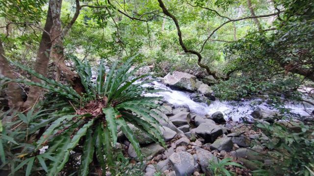 海南热带雨林国家公园五指山景区旅行图片 2