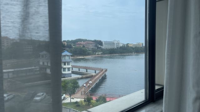 养马岛林间花海旅行图片 3