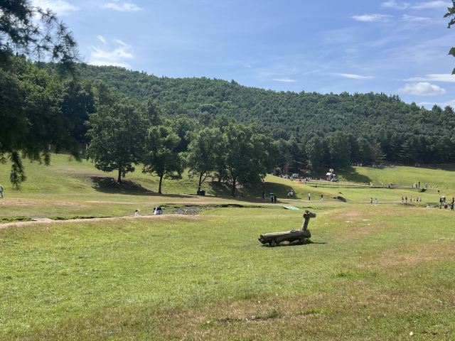 飞泷金山鹿苑旅行图片 1