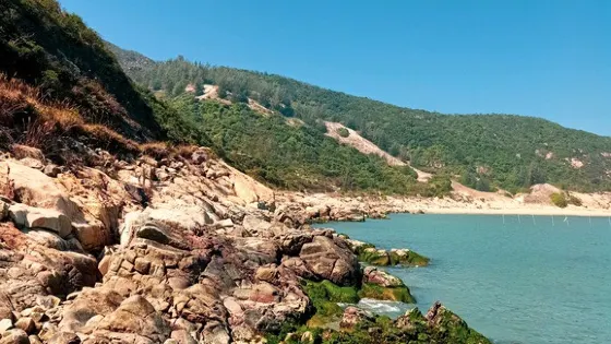 西沙灘