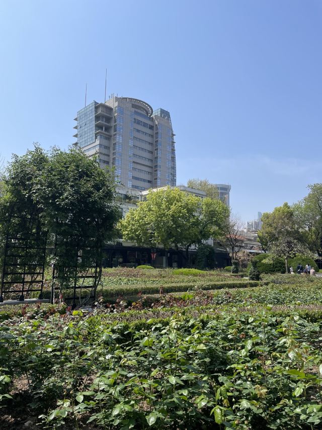 复兴公园旅行图片 9