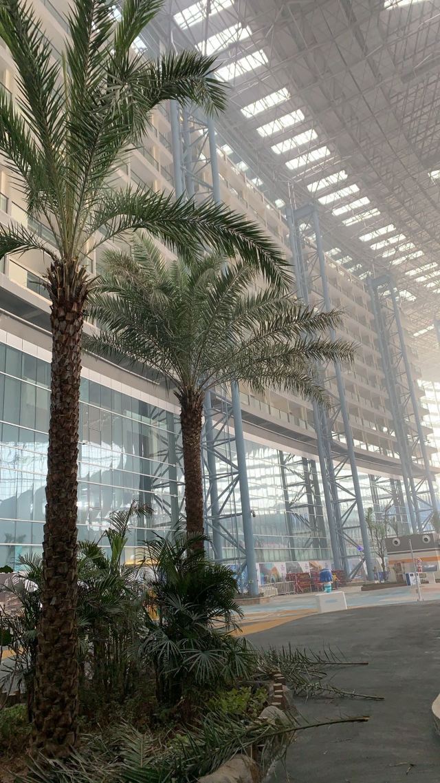 邯郸鲲乐湾国际旅游度假区旅行图片 1