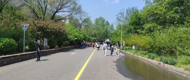 老山城市休闲公园旅行图片 2