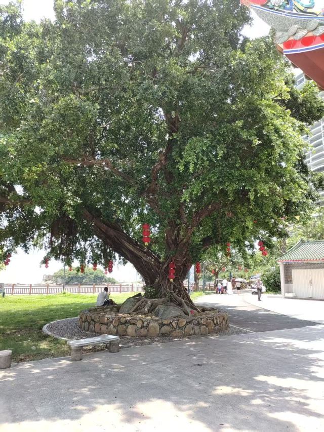 礁石公园旅行图片 3