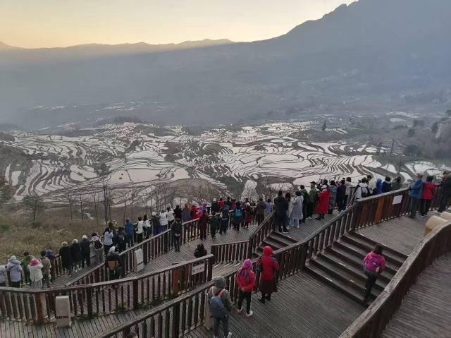 多依树观景台旅行图片 1