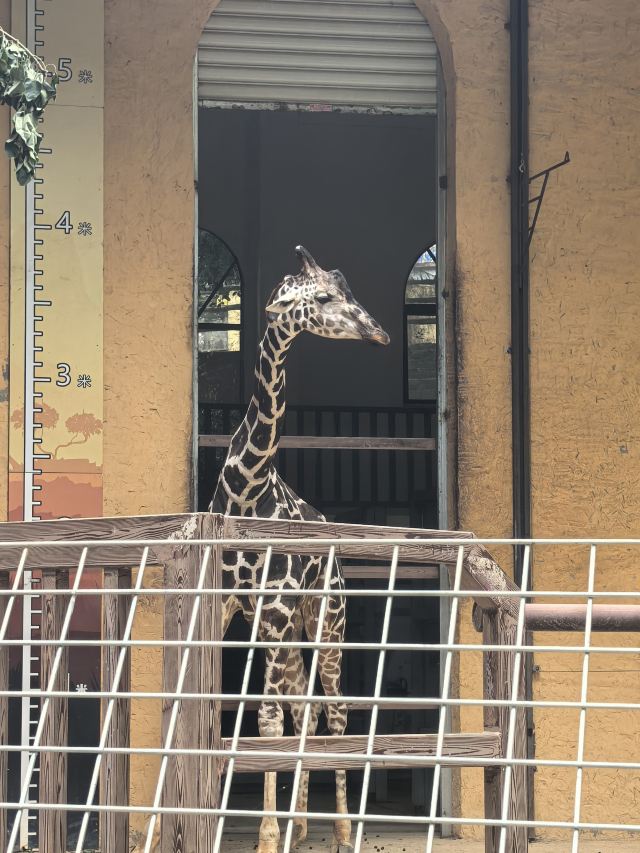 福州动物园旅行图片 2