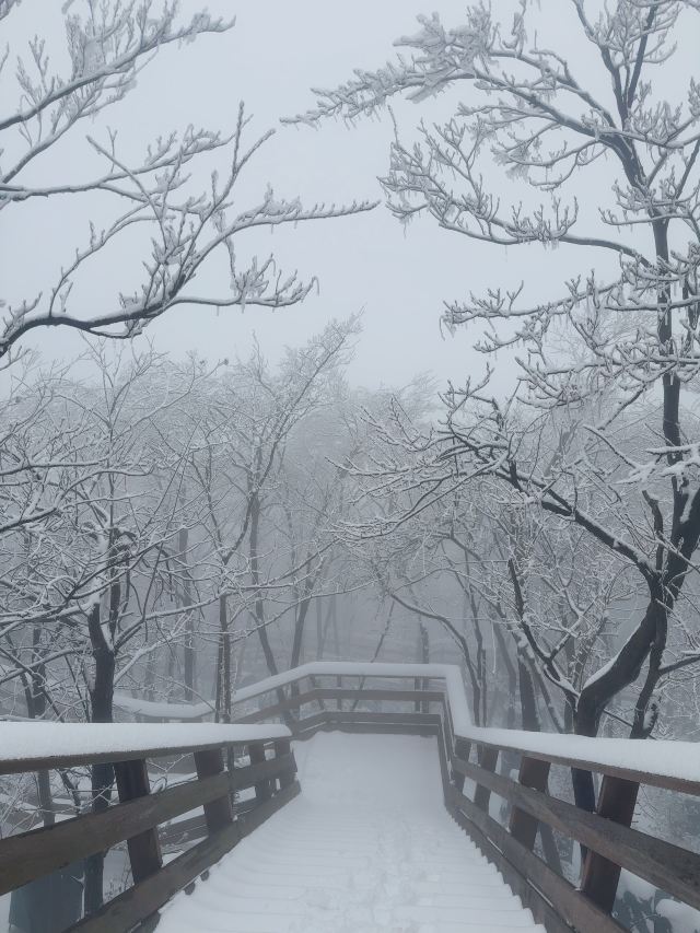 云上草原国际山地旅游度假区旅行图片 4