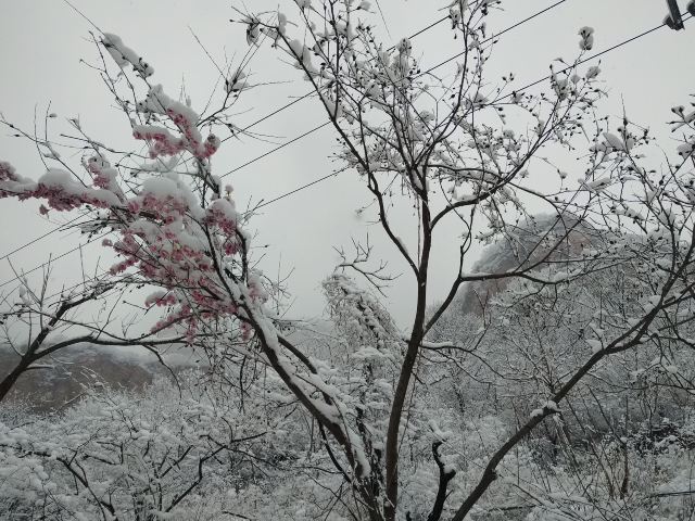 嶂石岩国家地质公园旅行图片 1