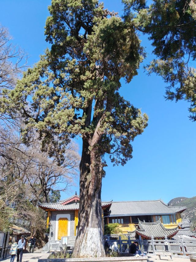 丽江古城旅行图片 3