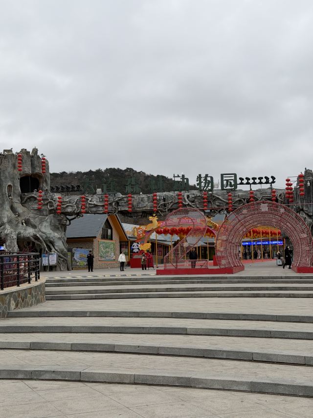 大连森林动物园旅行图片