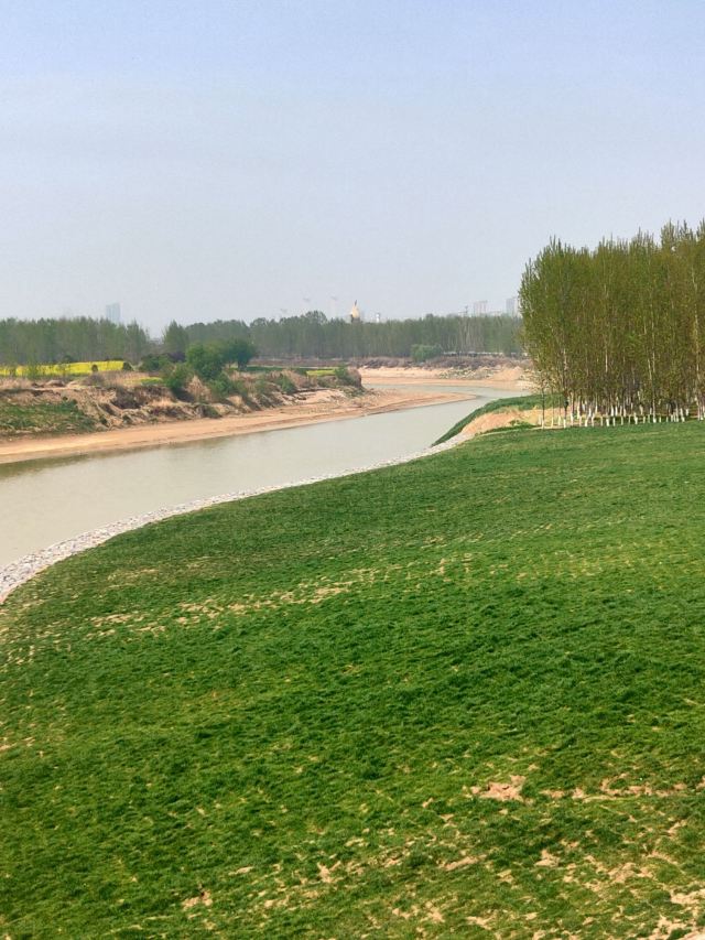 泾渭分明观景台旅行图片 10