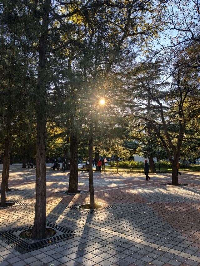 东单公园旅行图片 4
