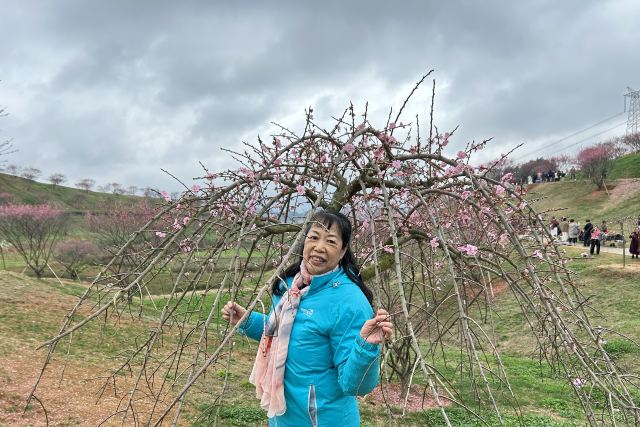 贵州梅园(暂停开放)旅行图片 4