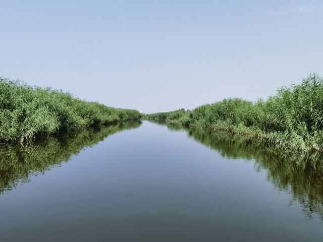 乌梁素海生态旅游景区(暂停开放)旅行图片 5