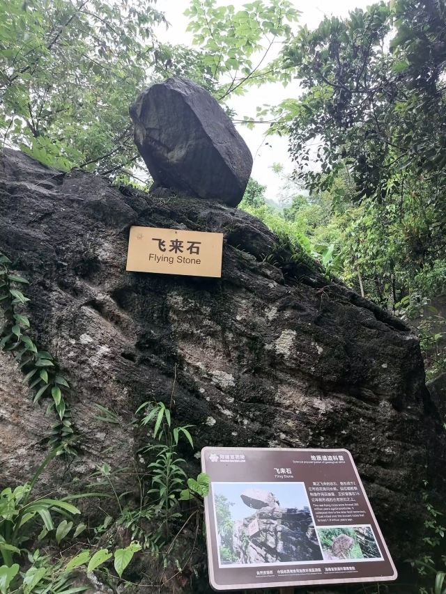 海南百花岭热带雨林文化旅游区-小卖部旅行图片 1