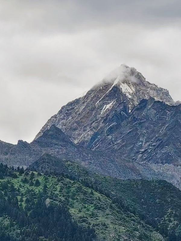鲁朗林海风景区旅行图片 1