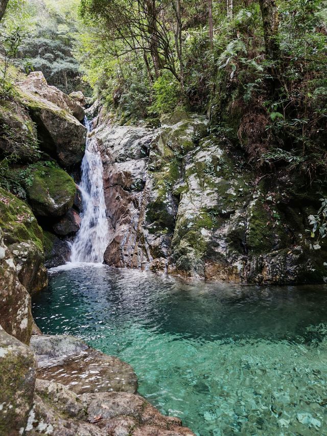 箬寮原始森林旅行图片 1