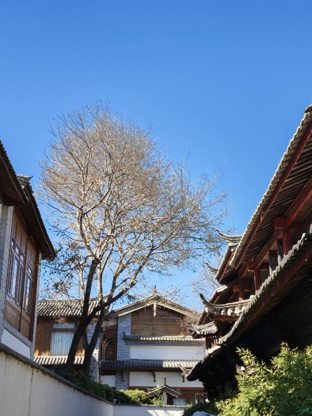 丽江古城旅行图片 6
