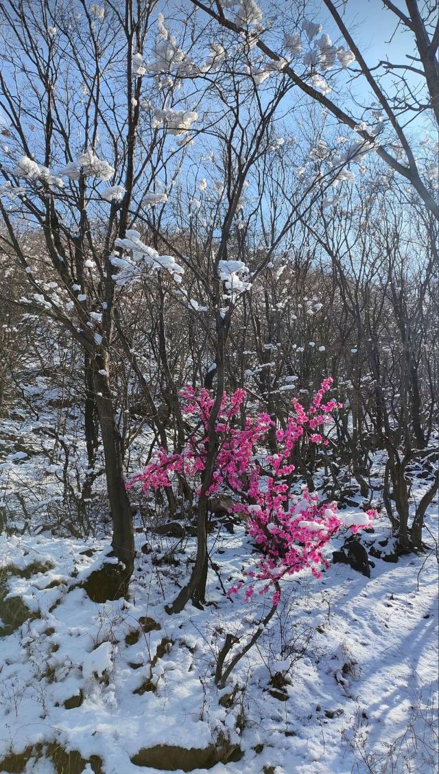 嶂石岩国家地质公园旅行图片 1
