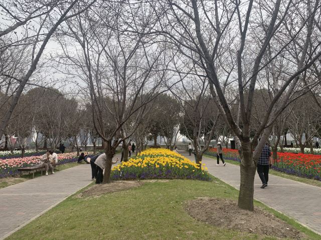 琴键春园旅行图片 5