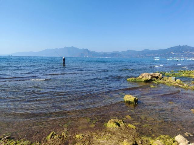 抚仙湖国际度假小镇湖畔森林公园旅行图片 1