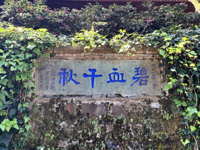 国殇墓园旅行图片 5