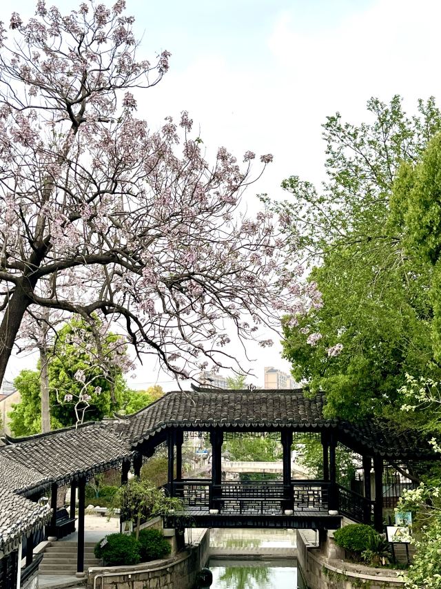 新场古镇旅行图片 4
