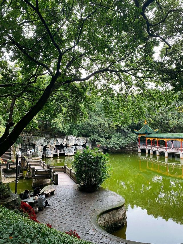 鹅岭公园旅行图片 3