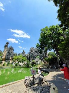 小石林景区-阿诗玛-石林-银老先生