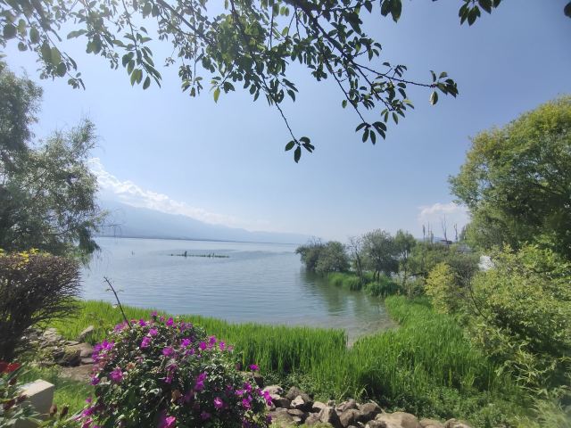 洱海月湿地公园旅行图片 4