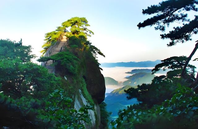 潜山国家森林公园旅行图片 3