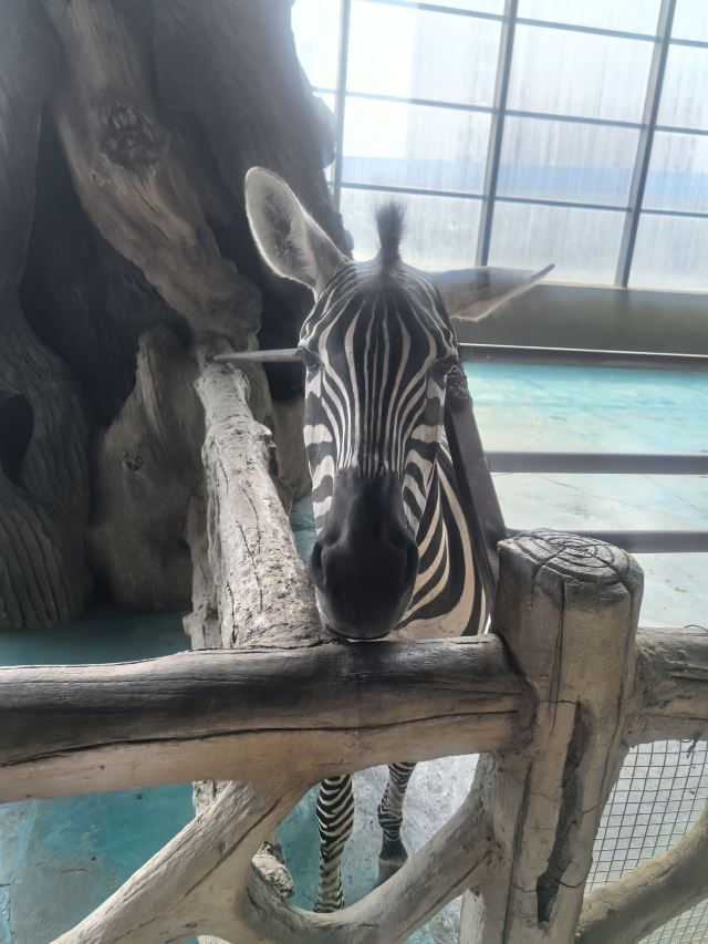 沈阳龙之梦动物科普乐园旅行图片 3