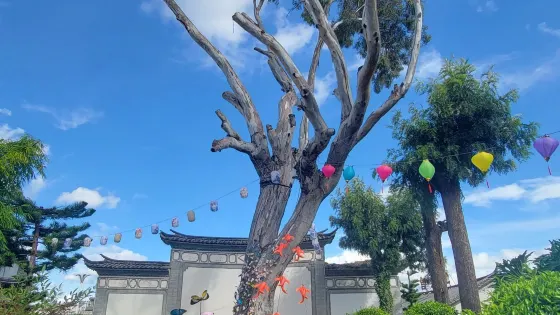 姚安路軍民總管府