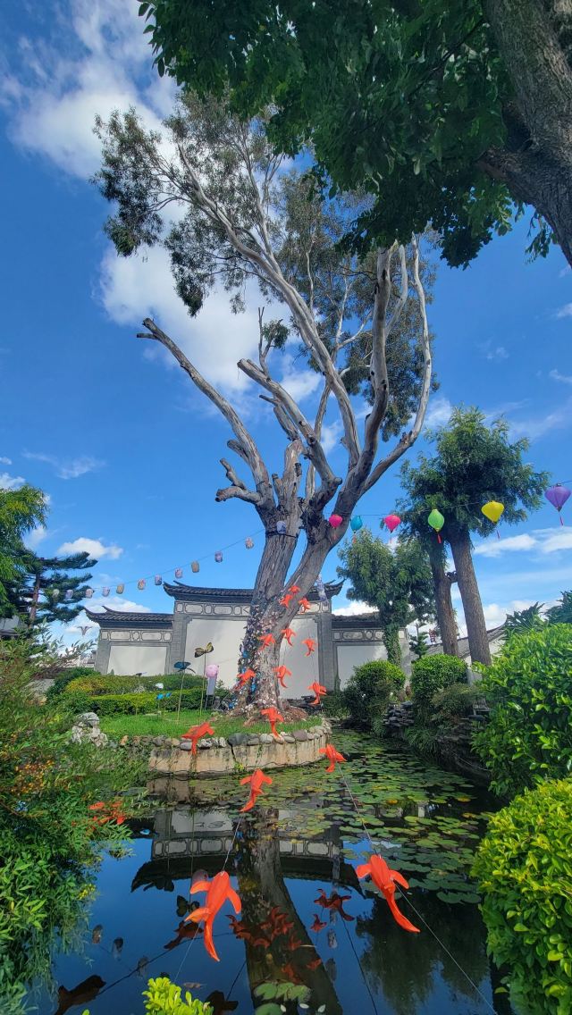 姚安路军民总管府旅行图片 8