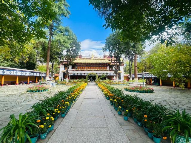 罗布林卡旅行图片 4