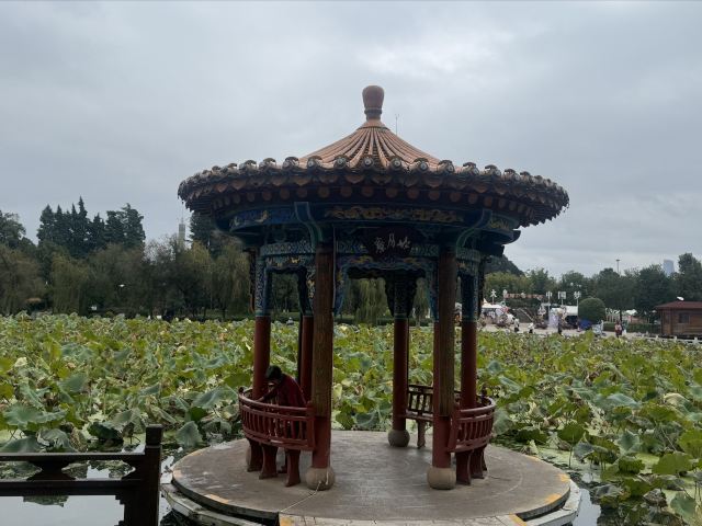 大观园旅行图片 8