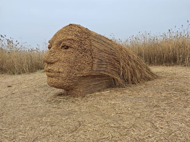 君山岛景区旅行图片 5