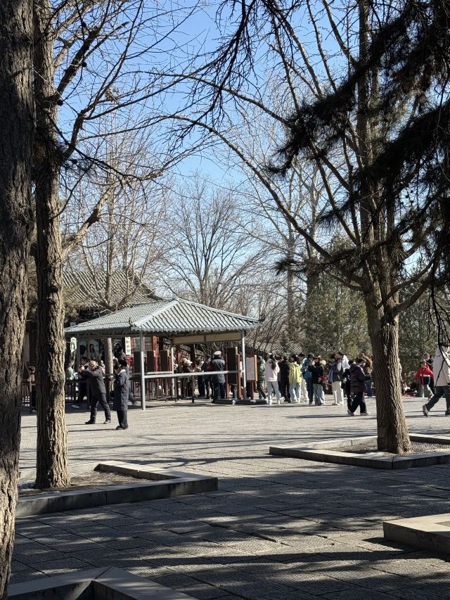 张壁古堡旅行图片 1