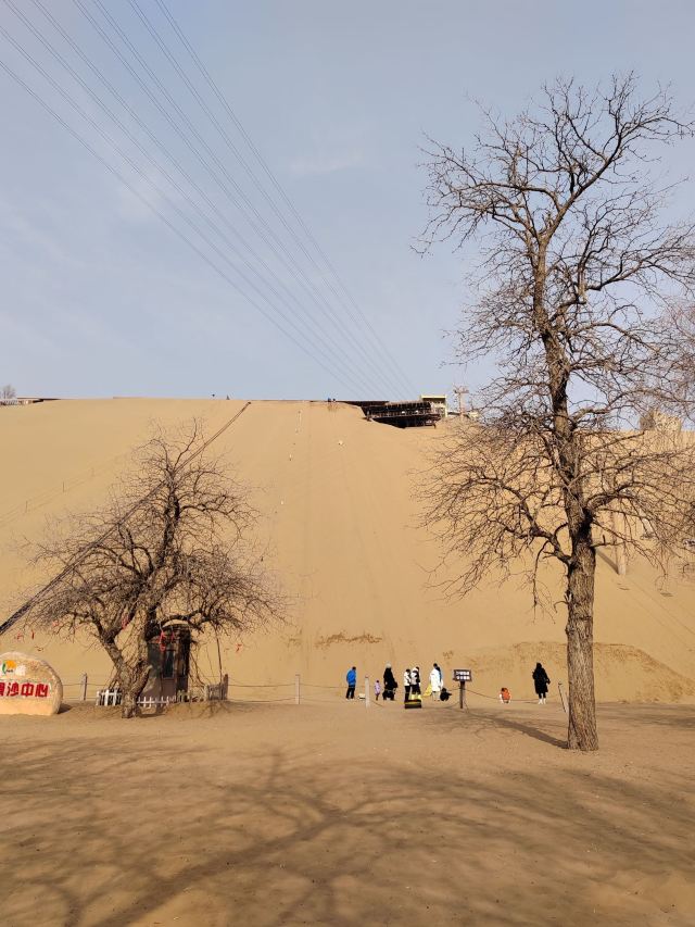 沙坡头旅游景区旅行图片 1