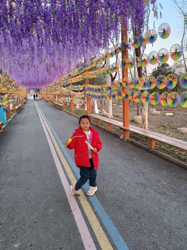 南京森林大世界旅行图片 3
