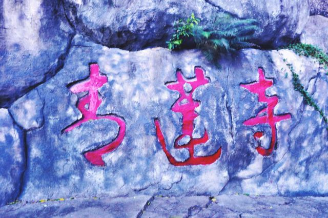青莲寺旅行图片 1