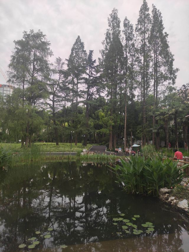 东安公园旅行图片 3