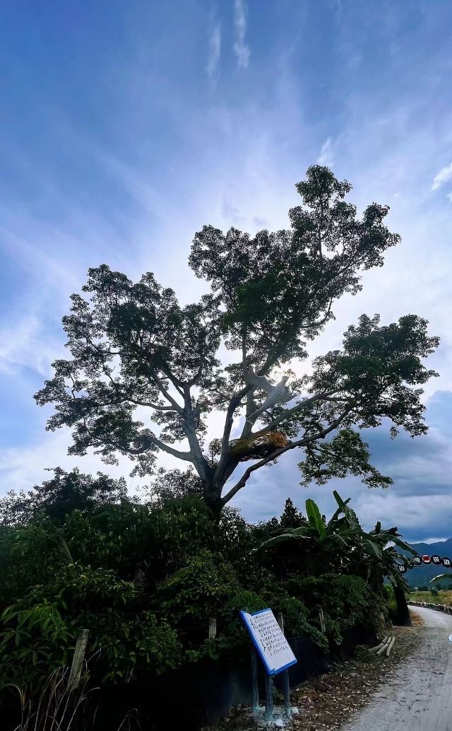 极边第一村龙利景区旅行图片 2