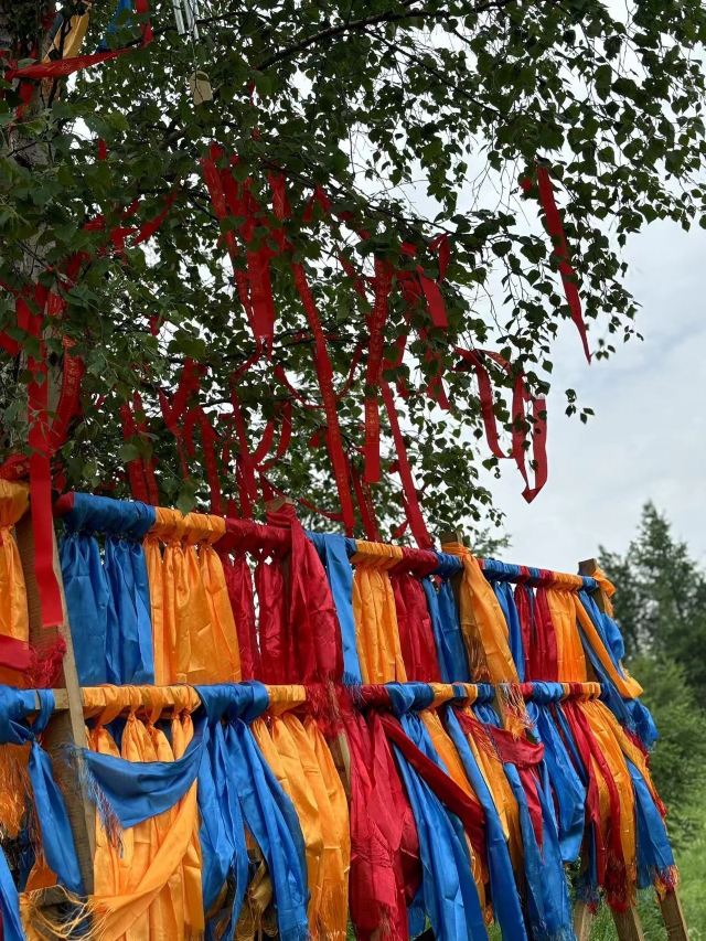 乌兰布统达瓦鄂温克驯鹿部落旅行图片 2
