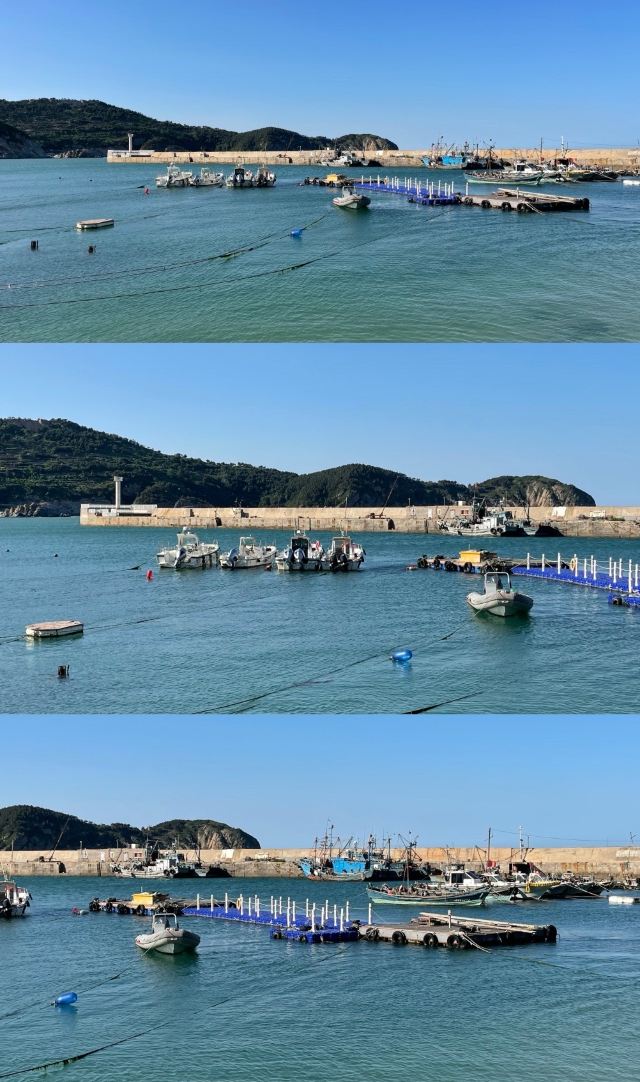 贝壳沙滩旅行图片 9