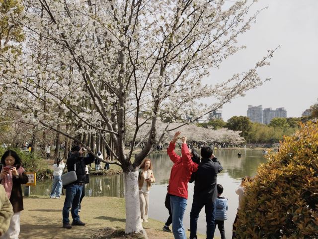 上海世纪公园旅行图片 1