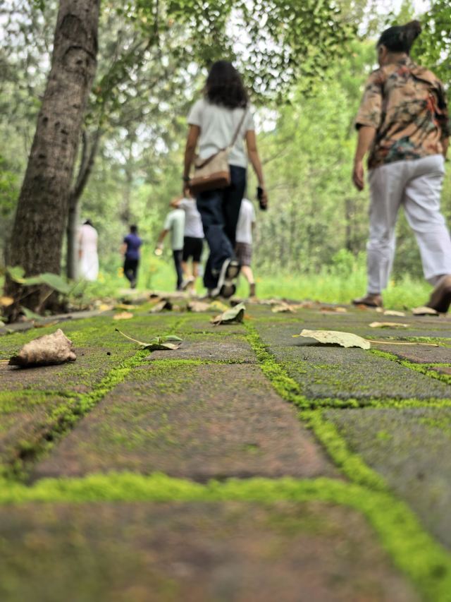 藏山旅游风景区旅行图片 13